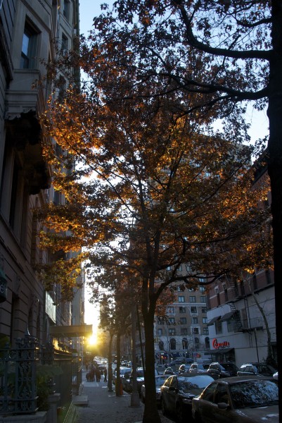 Morning in the Upper West Side, Manhattan - NYC