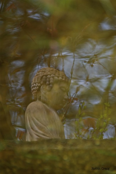 Buddha reflection