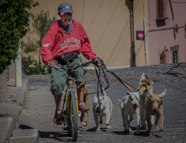 dog walker in san miguel