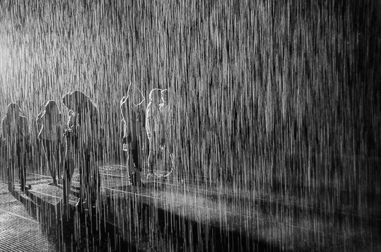 Rain Room at MoMA