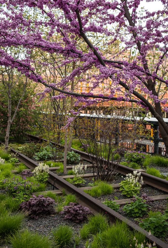 spring on the high line, nyc
