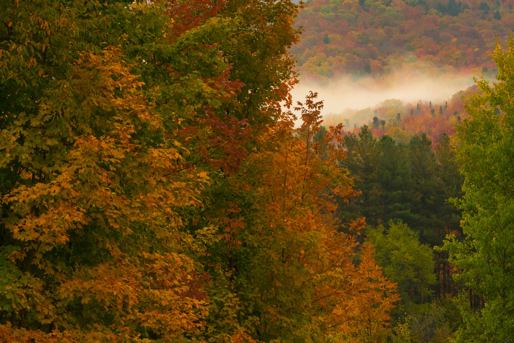 Fall foliage - Vermont 2015