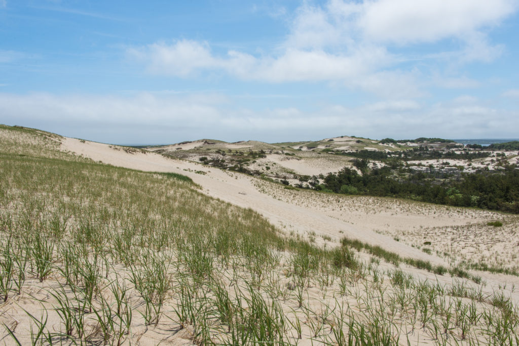 sand dunes in Provincetown